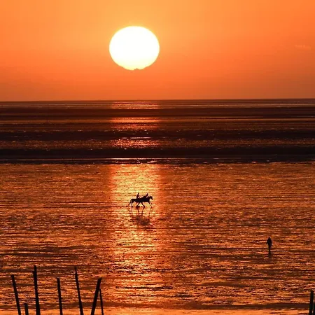 Am Sahlenburger As16